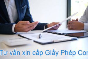 Dịch vụ xin giấy phép con